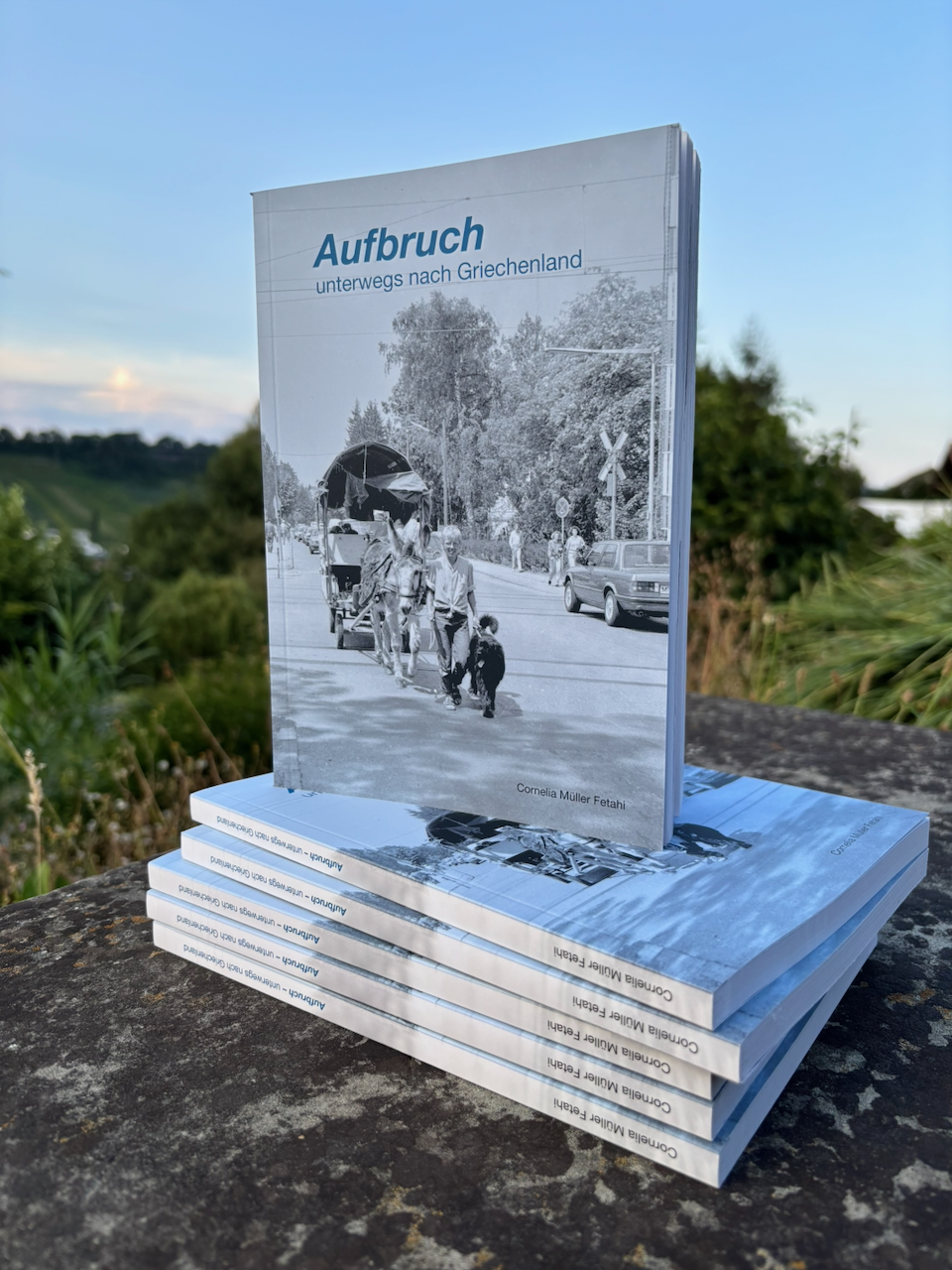 buch_front